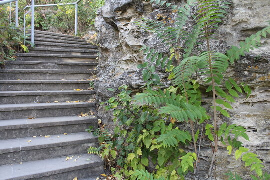 A stone wall with a staircase