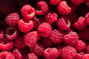 Ripe raspberry Raspberry background. Juicy ripe organic raspberries. Fresh garden berries