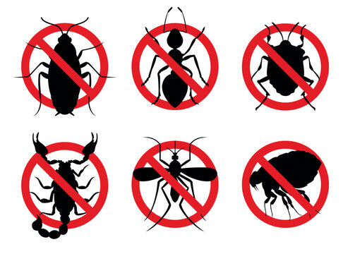 pest control vector, pests and bugs icon, vector insects, cockroach, ant, bedbug, scorpion, mosquito, flea, insecticide