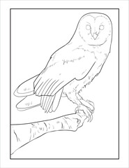 Hand drawing Sketch of a Barn Owl, outline Vector Bird Coloring page.