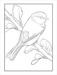 Hand drawing Sketch of a Eurasian Blue Tit, outline Vector Bird Coloring page.