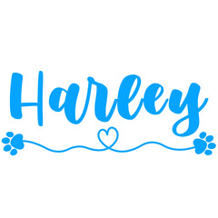 Harley Name for Baby Boy Dog