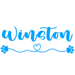 Winston Name for Baby Boy Dog