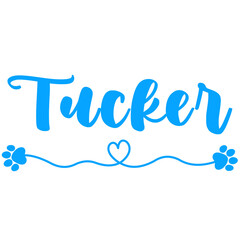 Tucker Name for Baby Boy Dog