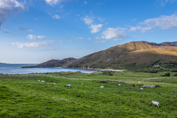 Dunree, Ireland - September 1 2023 
