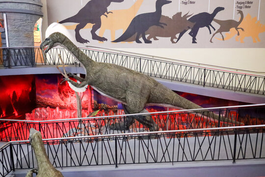 East Java, Indonesia - August 14, 2023. Fossil and Satue of a T-rex dinosaur in the Dino Park for study tour and education in Jatim Park 3, Indonesia.