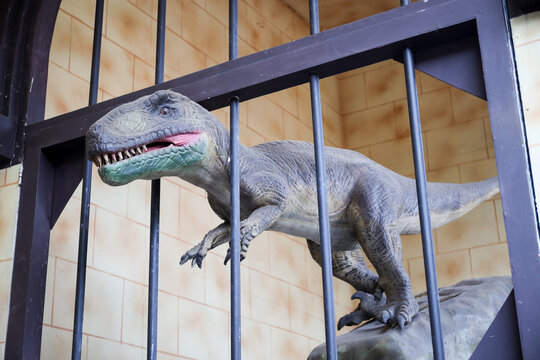 East Java, Indonesia - August 14, 2023. Fossil and Satue of a T-rex dinosaur in the Dino Park for study tour and education in Jatim Park 3, Indonesia.