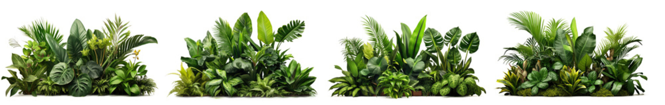 Fototapeta Collection of green leaves of tropical plants bush (Monstera, palm, rubber plant, pine, bird's nest fern). PNG, cutout, or clipping path.