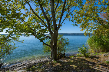 Fototapeta na wymiar Ueberlingen on Lake Constance, lakeside promenade. Baden-Wuerttemberg, Germany, Europe.
