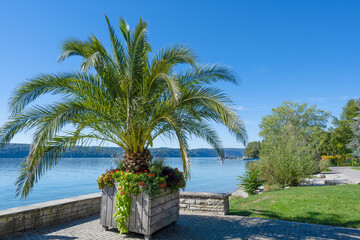 Fototapeta na wymiar Ueberlingen on Lake Constance, lakeside promenade. Baden-Wuerttemberg, Germany, Europe.