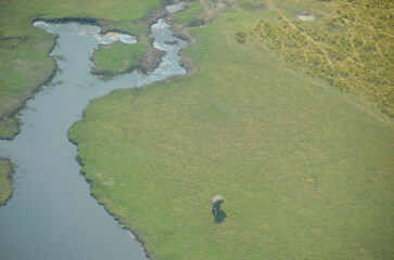 Delta del Okavango desde el aire