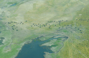 Delta del Okavango desde el aire