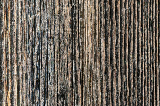 Wooden texture old faded board in macro photo.