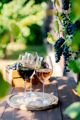 Wine in glasses with bunch of grape on wooden table