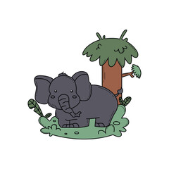 Jungle animal cartoon design vector illustration vector