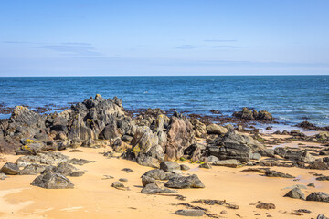 Mossy Glen, Ireland - September 1 2023 