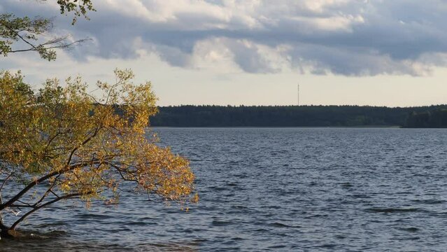 Landscape view at a lake. Autumn tree. Stockholm, Sweden.