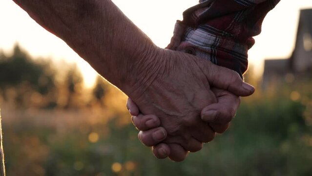 Close up palms hands of elderly old people with deep wrinkles. Married couple of old persons holding hands. Helping hand and support, feeling of love. Summer evening in park against sunset ray shine