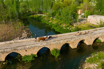 Baskavak Bridge, located in Savur, was built in 1755.