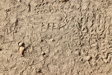 A close view of the hard dirt ground surface.
