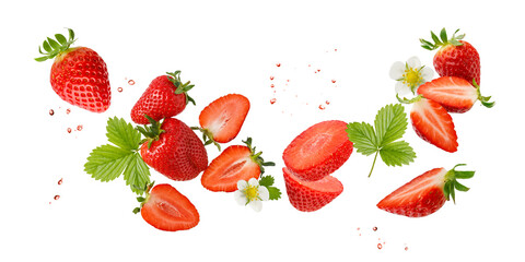 Fresh sweet strawberry berries with flower and leaves flying falling isolated on white background....