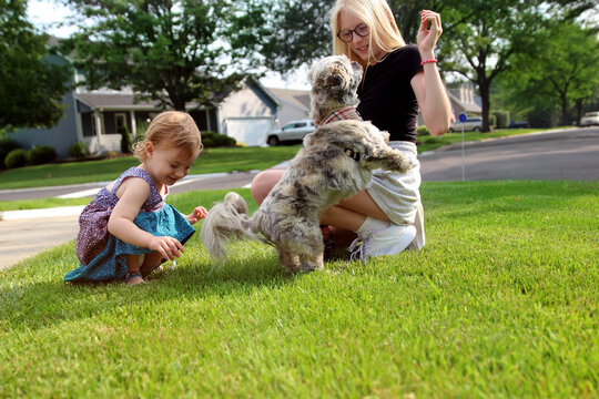 Girls  playing with a dog outside.