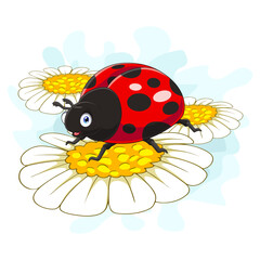 Cartoon funny ladybug on daisy flower