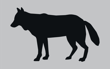 The black silhouette of a wolf. Vector on gray background