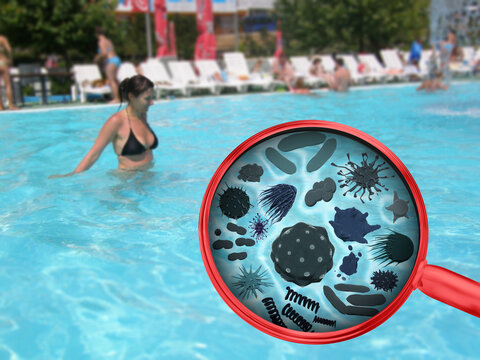 Magnifying lens with simulated germs, viruses, bacteria, coli. Risk of infection in a public swimming pool concept