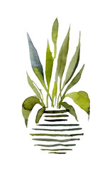 Branches, leaves, tall grass in a vase. Hand drawn watercolor botanical illustration. Eco-minimalistic style for greeting cards, posters, web design