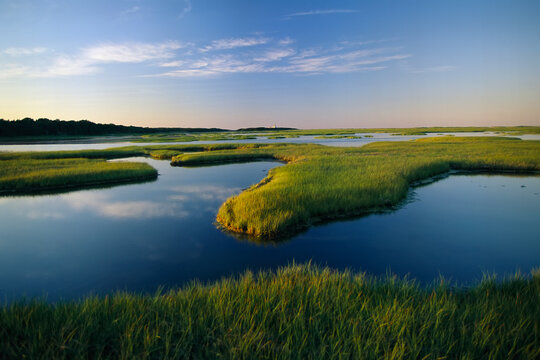 Tidal flats of Nauset Marsh on the East coast of the USA; Cape Cod, Massachusetts, United States of America