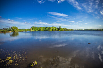 summer pond in the countryside