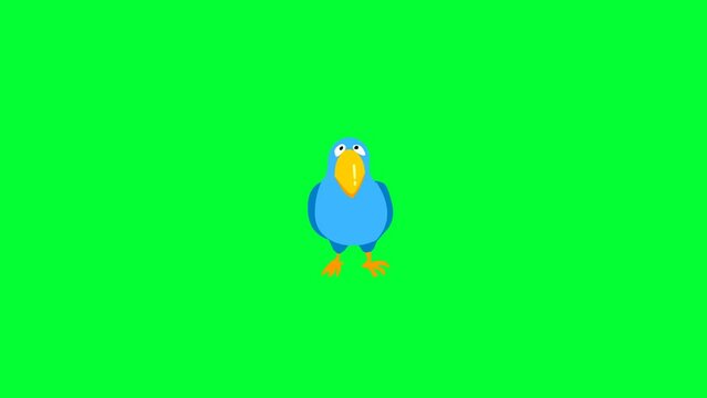blue parrot cartoon bird background and 2d animation, beautiful green screen 