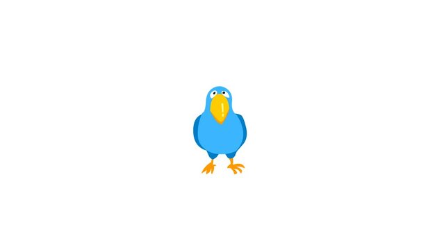 blue parrot cartoon bird background and 2d animation, beautiful green screen 