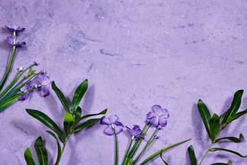 Purple Geranium Flowers and Ruscus plants on grunge purple background