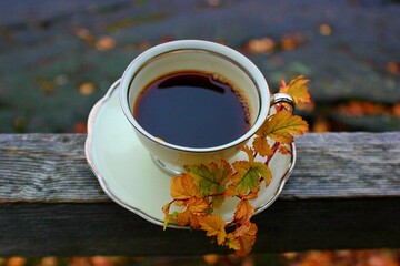 cup of coffee with autumn leaves