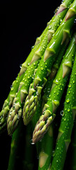 Fresh green asparagus or sparrow grass with water drops over, closeup macro detail vertical banner. Generative AI