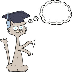 freehand drawn thought bubble cartoon cat scratching with graduation cap