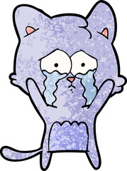 cartoon cat
