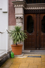 Eingangst&uuml;r aus Holz mit Palme und Gie&szlig;kanne