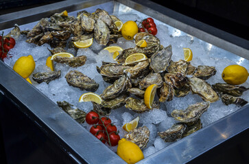 Tasty fresh raw oysters, lemon, cherry tomatoes on ice being kept cool. Healthy seafood
