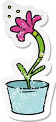 hand drawn distressed sticker cartoon doodle of a house plant