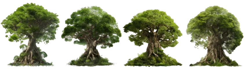 Foto op Plexiglas Sprookjesbos Epic fairy tale world tree with dense green foliage isolated on transparent background generative ai