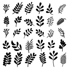 Illustrations of naive hand drawn leaf. Tropical branches collection in vector matisse style. Modern shapes of organic plant. Abstract brush drawn isolated fronds or branches