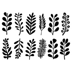 Modern organic plant shapes. Naive hand drawn leaf illustrations. Abstract brush drawn fronds or branches isolated. Collection of vector matisse style tropical branches