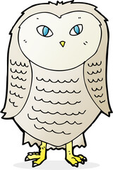 cartoon owl