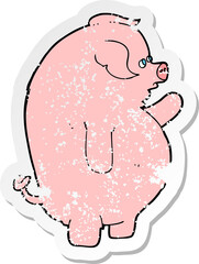 retro distressed sticker of a cartoon fat pig