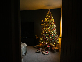 A beautiful Christmas tree decorating the living room in a middle class home - 653953490