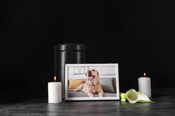Frame with picture of dog, mortuary urn, burning candles and calla lily on dark background. Pet...