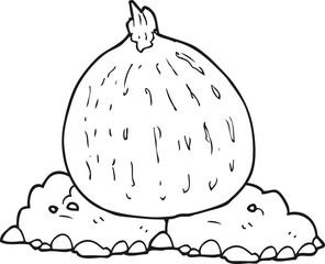 freehand drawn black and white cartoon squash